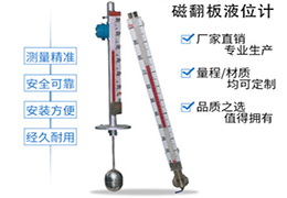 頂裝式（shì）磁翻板液位計