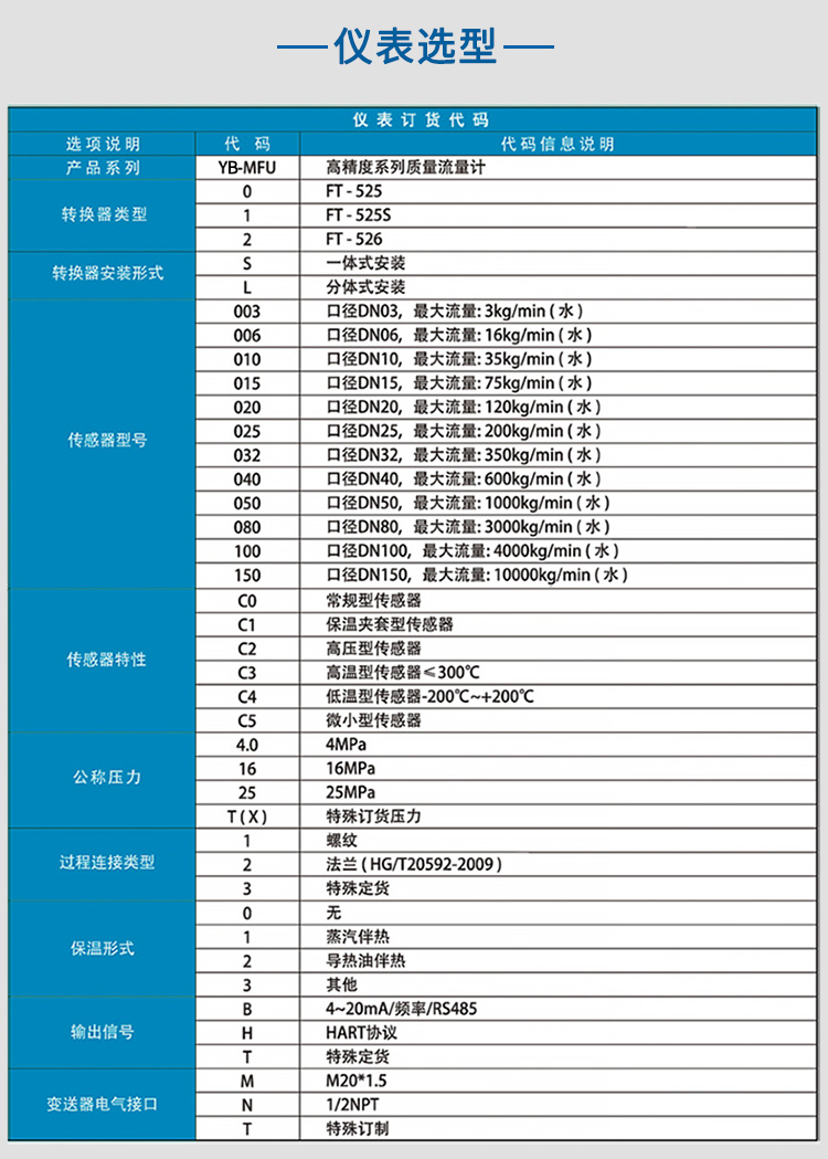 氮氣質量（liàng）流量計選（xuǎn）項表