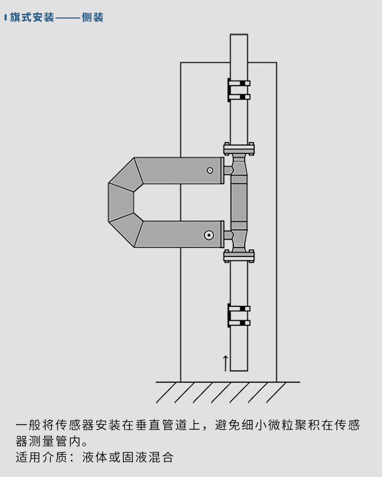 氮氣質量流量計垂直安裝（zhuāng）示意（yì）圖