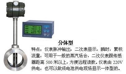 壓縮氣體流量表分體型產品圖（tú）